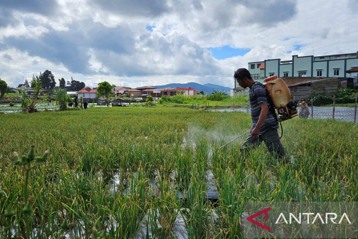 Sektor pertanian mulai krisis air di wilayah Maminasata Sulsel