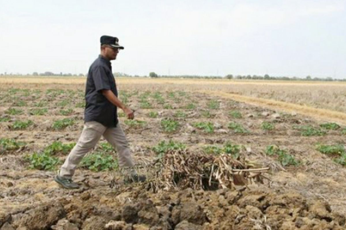 Pj Bupati Subang: Normalisasi dan sodetan irigasi jadi solusi atasi kekeringan