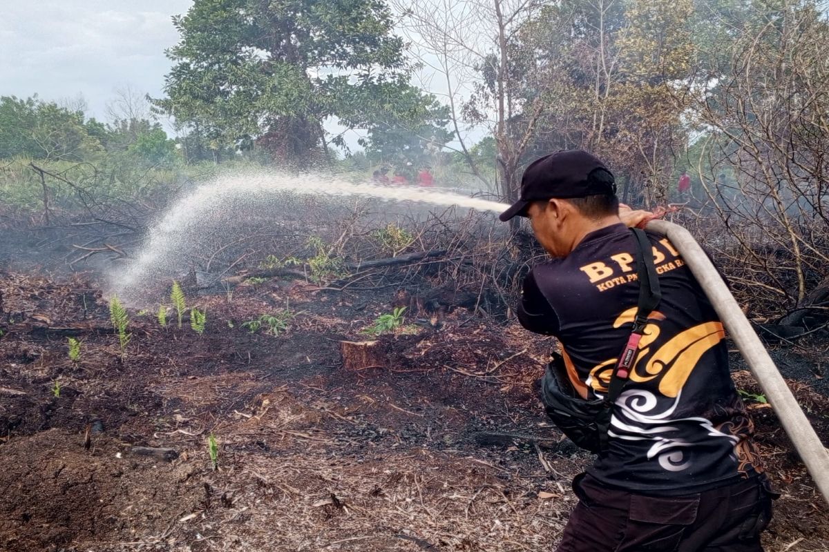 BPBD Palangka Raya gencarkan patroli di wilayah rawan karhutla