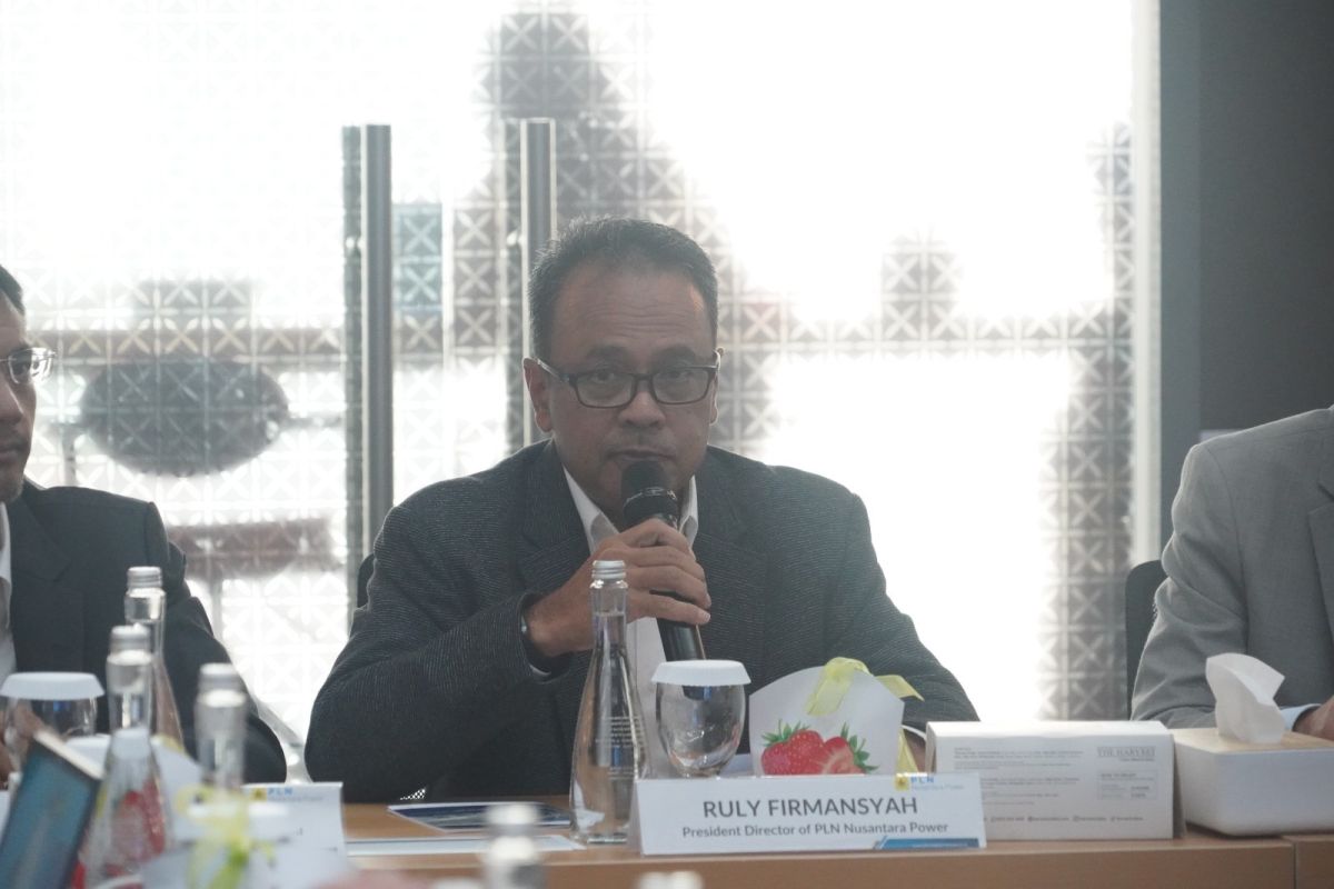 PLN dan perusahaan Jerman jajaki kerja sama infrastruktur EBT di RI