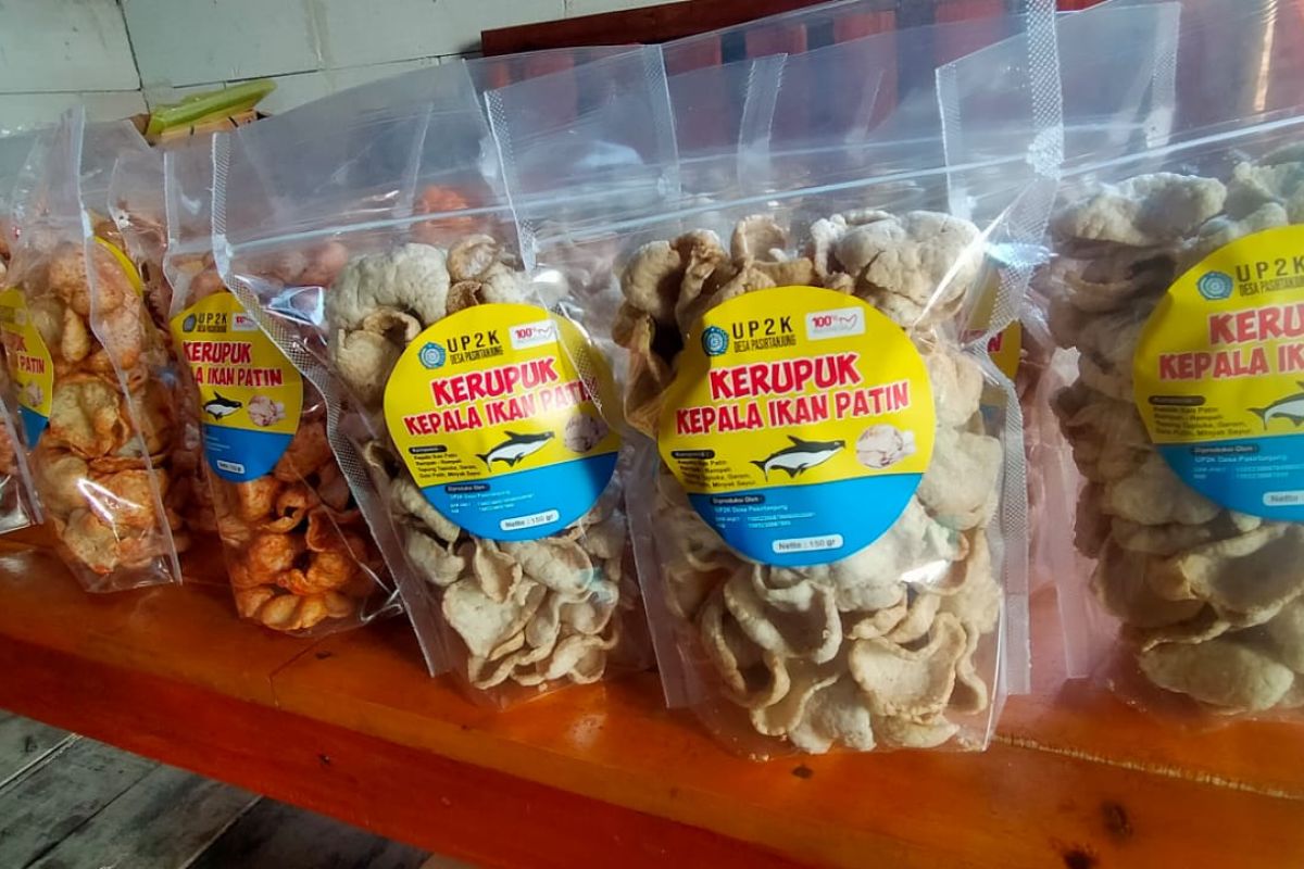 Pemkab Lebak dongkrak ekonomi keluarga peserta Keluarga Berencana