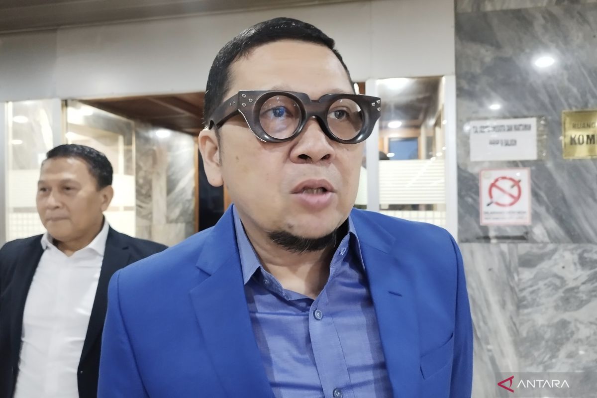 Komisi II DPR-KPU akan tentukan landasan hukum kotak kosong