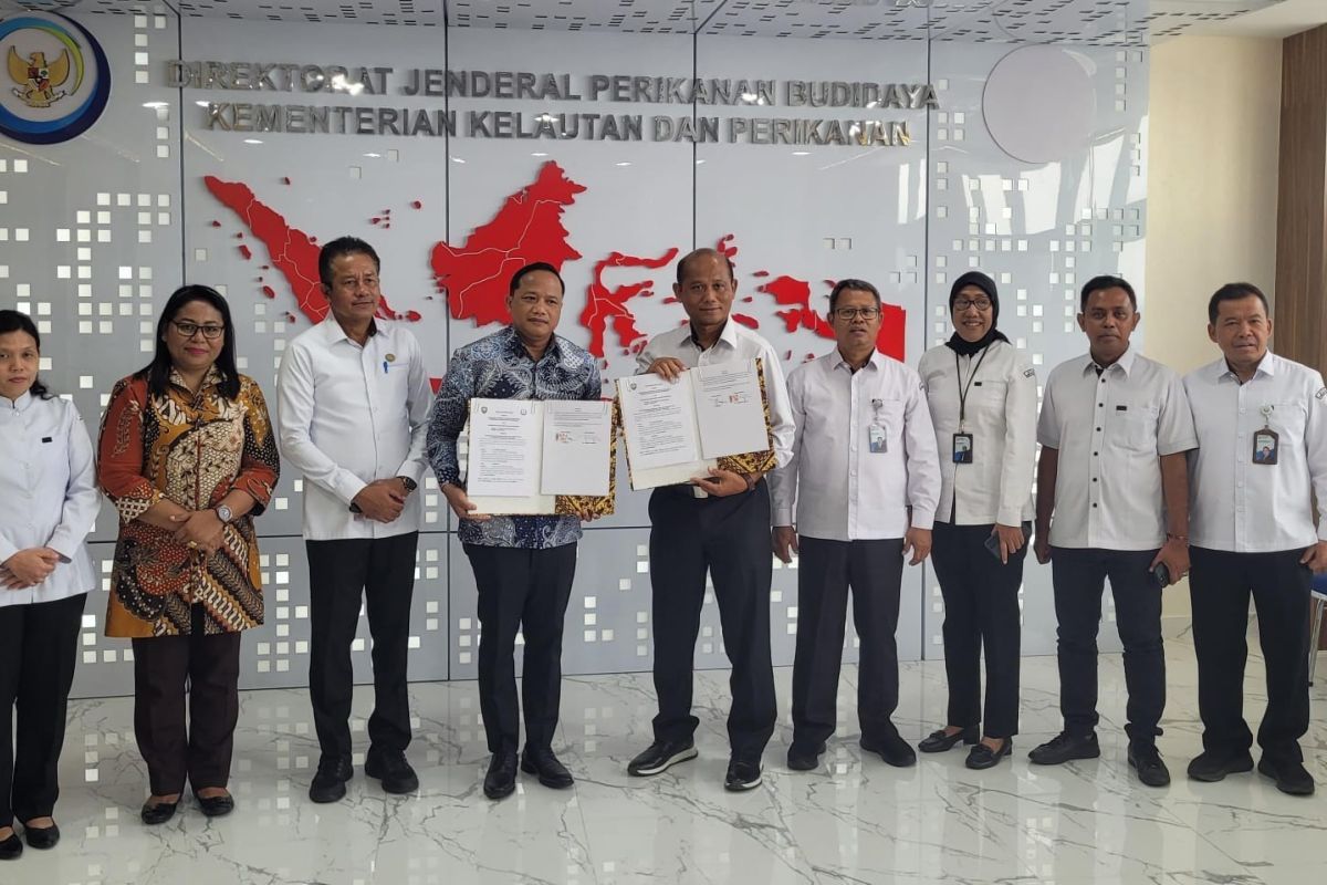 Kementerian Kelautan lakukan pengembangan budidaya rumput laut di Maluku Tenggara