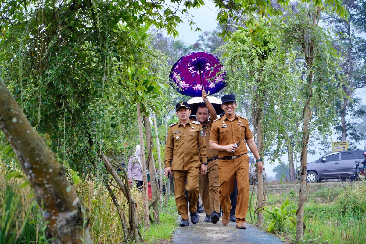Pj Bupati Pringsewu lakukan panen padi demplot metode TOT