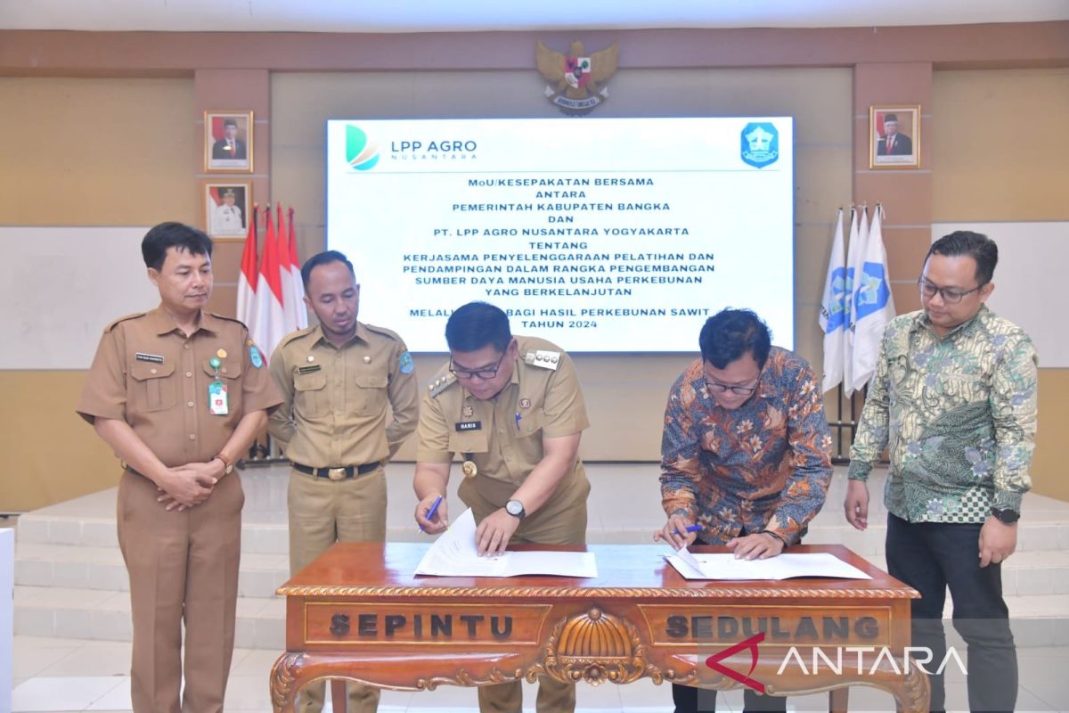Bangka perkuat SDM usaha perkebunan kelapa sawit