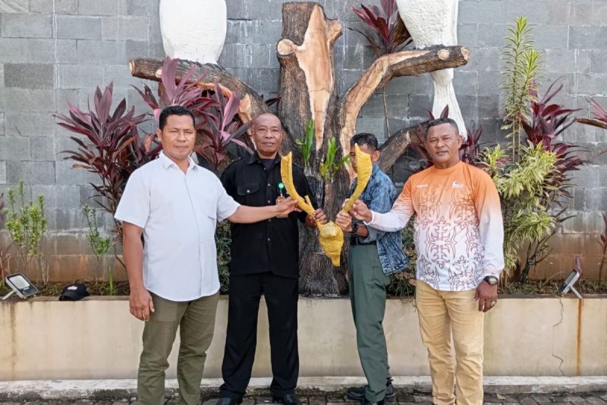 BKSDA Maluku terima penyerahan opsetan tanduk rusa dari Marinir
