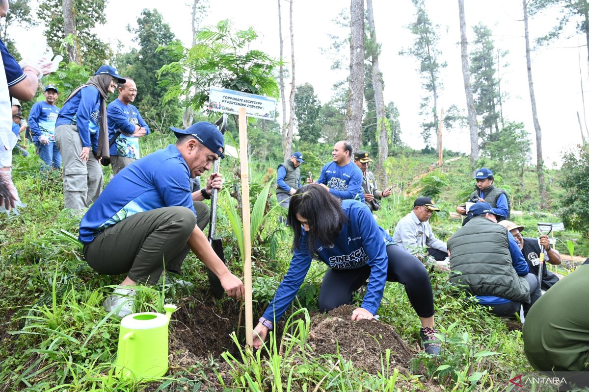 Pertamina tanam 200 bibit pohon di desa Besakih