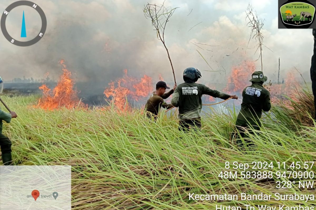 Kebakaran di Taman Nasional Way Kambas berhasil dipadamkan