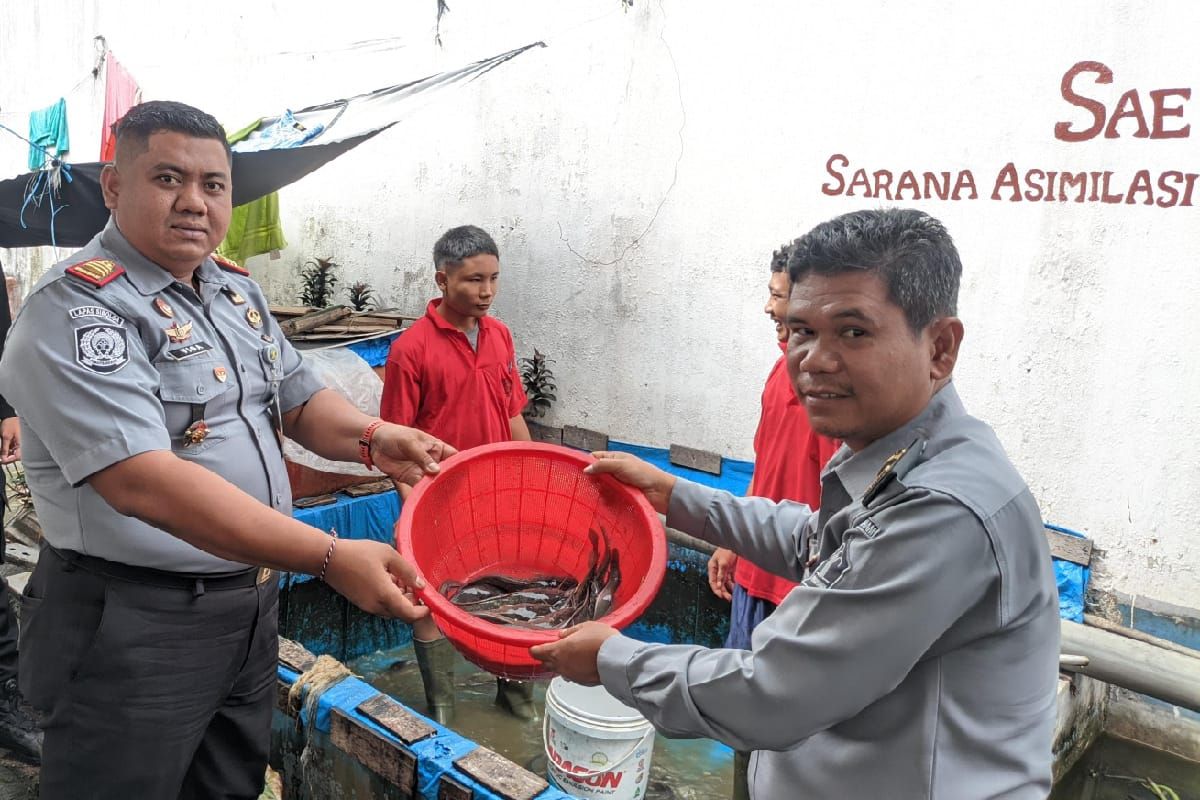 Lapas Kotapinang sukses budi daya ikan lele pembinaan warga binaan