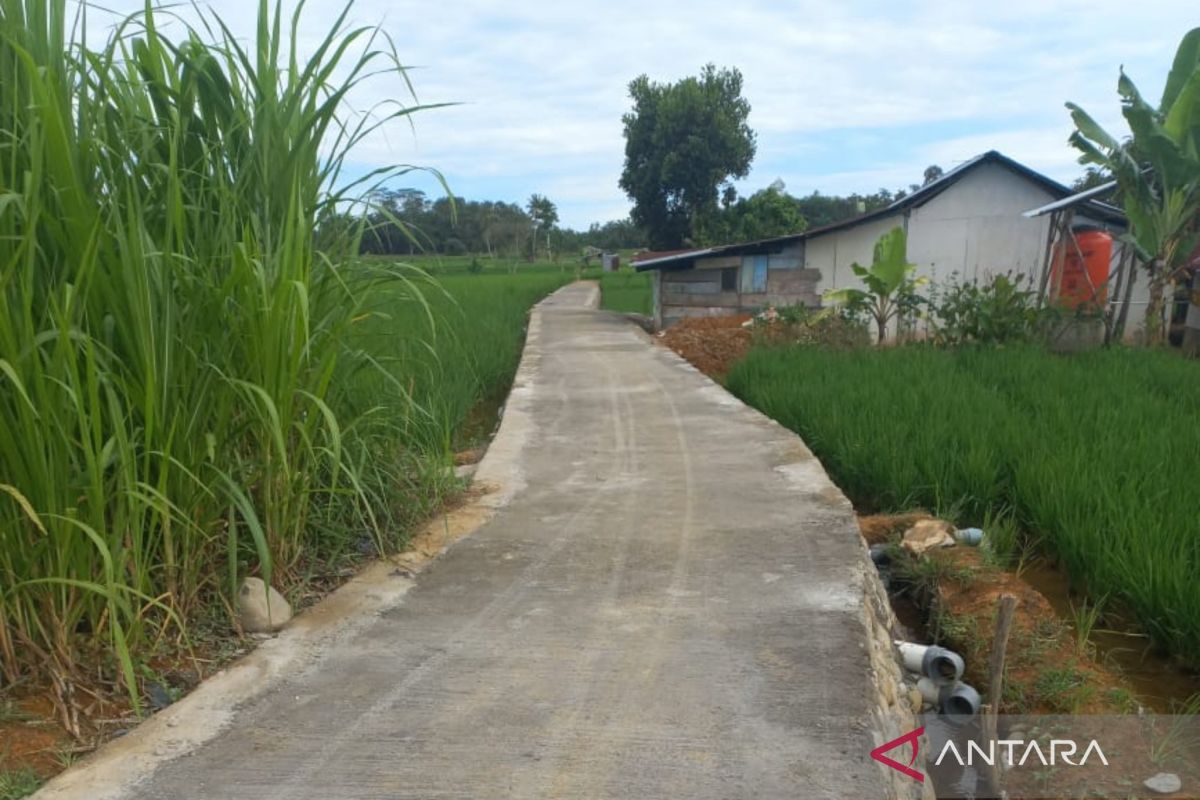 Pembangunan jalan usaha tani Mukomuko 80 persen, selesai September