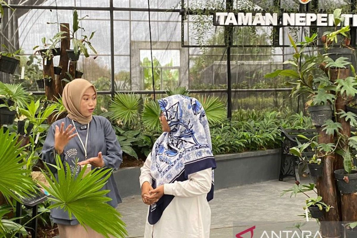 Kebun Raya Itera menjadi sarana edukasi dan konservasi tanaman langka