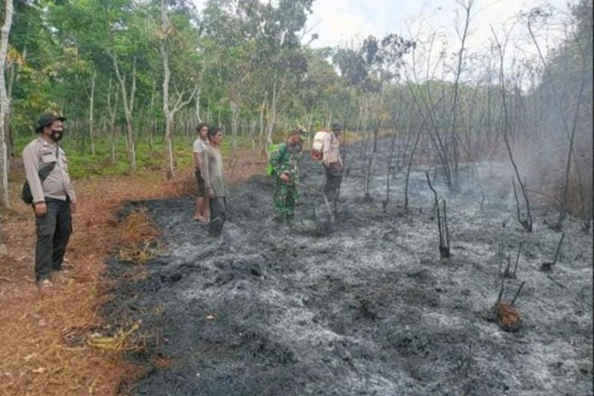 BPBD: Karhutla di Muara Enim Sumsel capai 40 hektare, api sudah padam