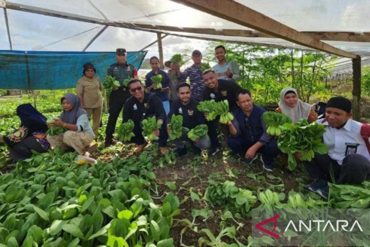 Dinas Pertanian  Maluku-komunitas pemuda bentuk kelompok tani di desa