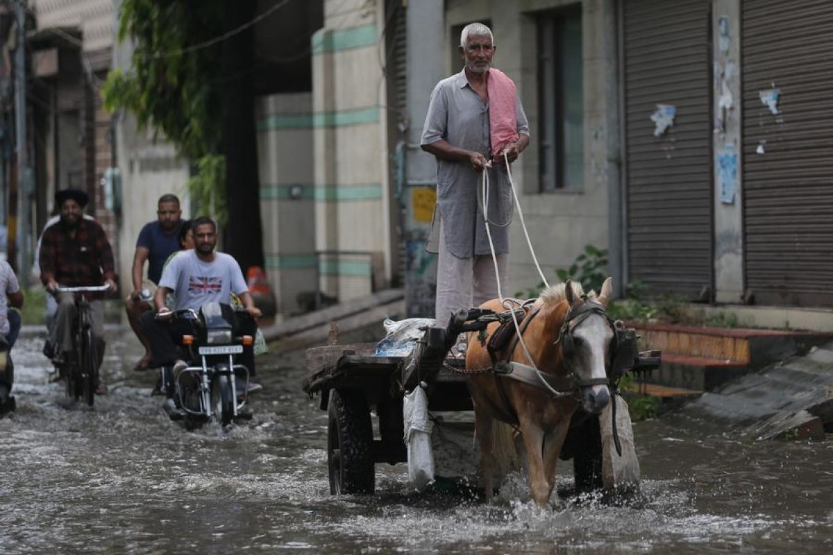 Album Asia: India utara diguyur curah hujan tinggi