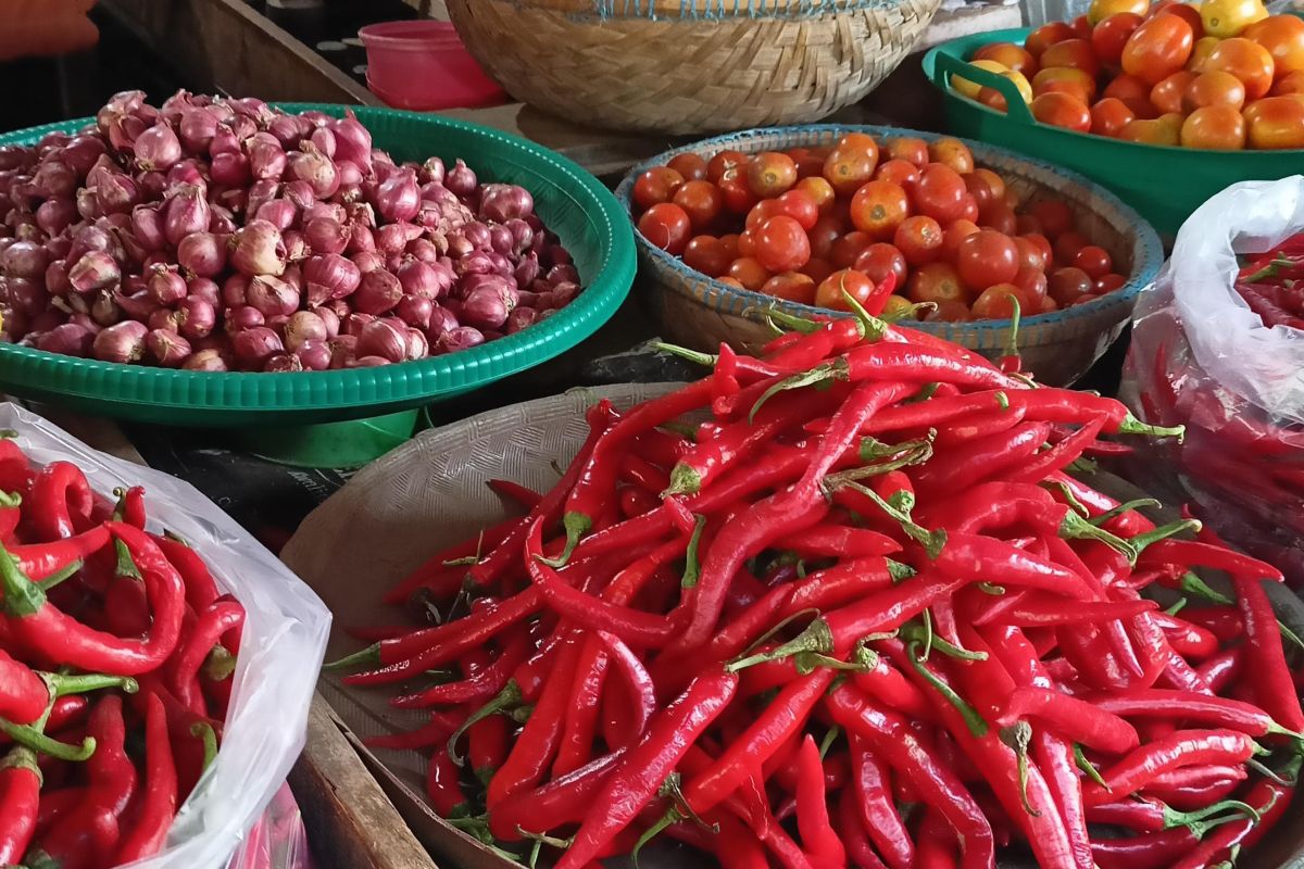 Harga bawang merah di Sumenep naik