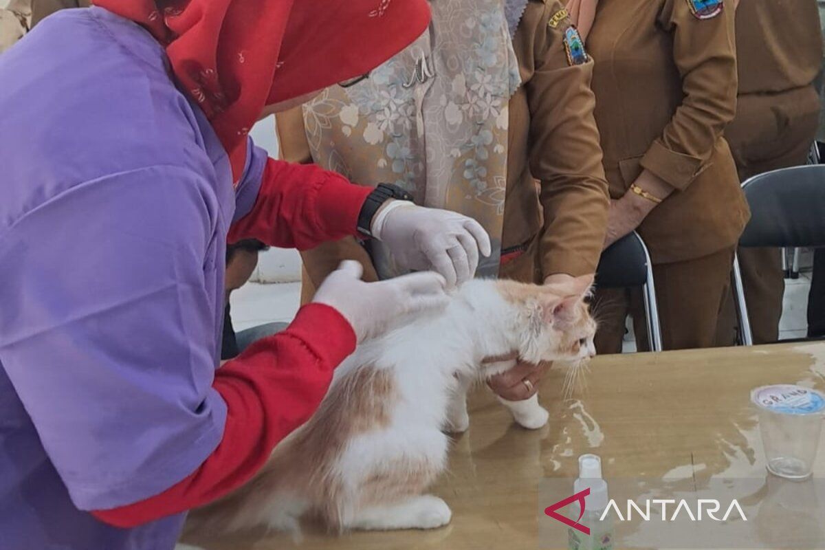 Lampung Selatan vaksinasi gratis untuk hewan penular rabies