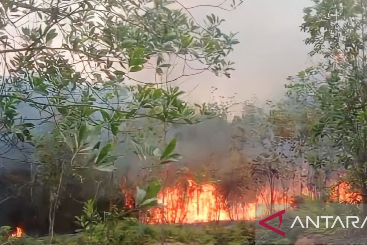 Polisi sosialisasikan pencegahan karhutla ke pelosok desa