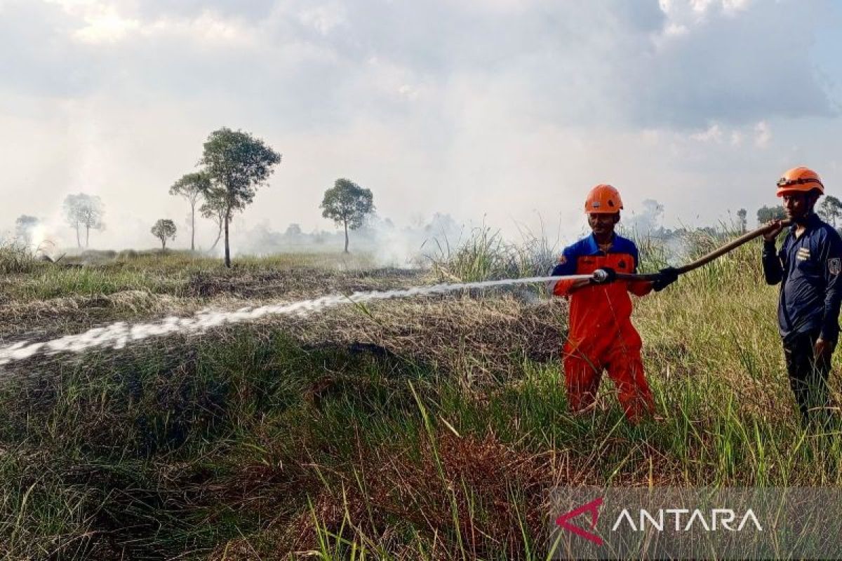 Tujuh hektare lahan gambut di Banjarbaru Kalsel terbakar Rabu siang