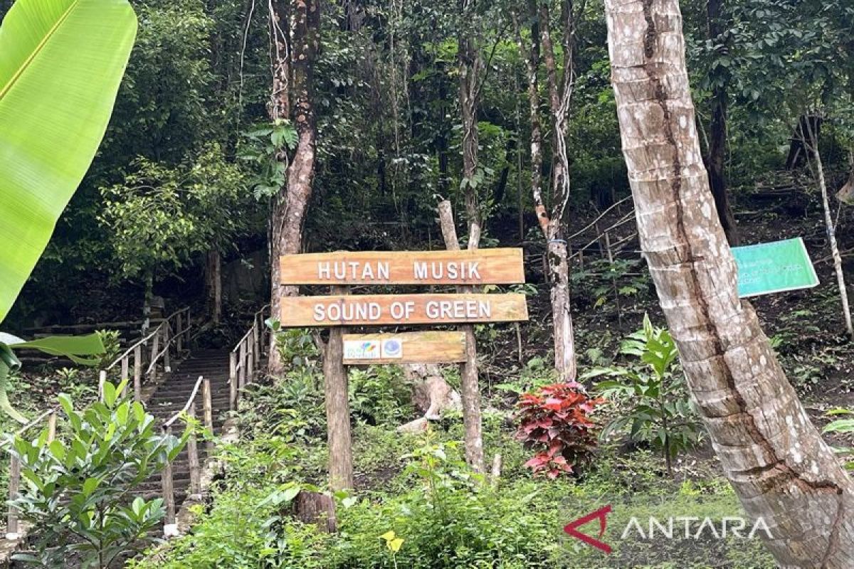 Menyulap hutan lestari Negeri Amahusu menjadi hutan musik