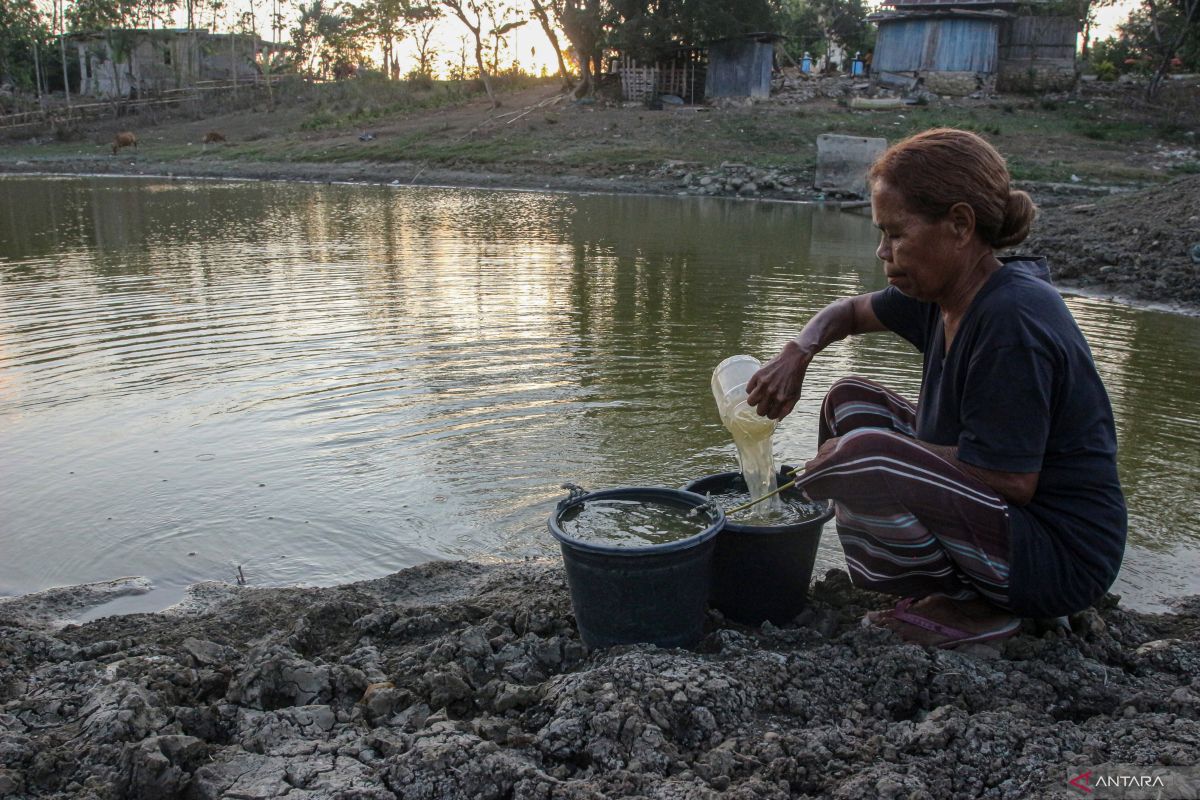 Long droughts hitting Indonesia's East, West Nusa Tenggara