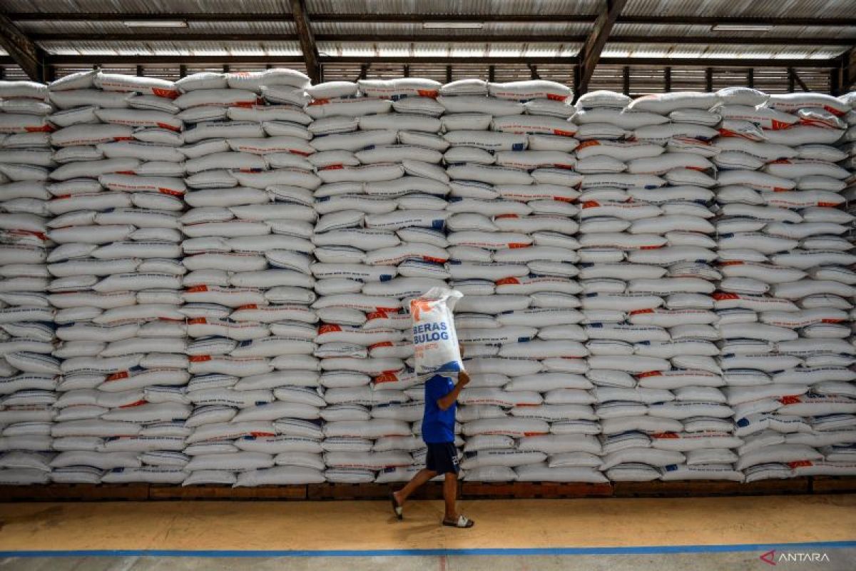 West Papua allocates 14 tons of rice for 2024 food security reserve