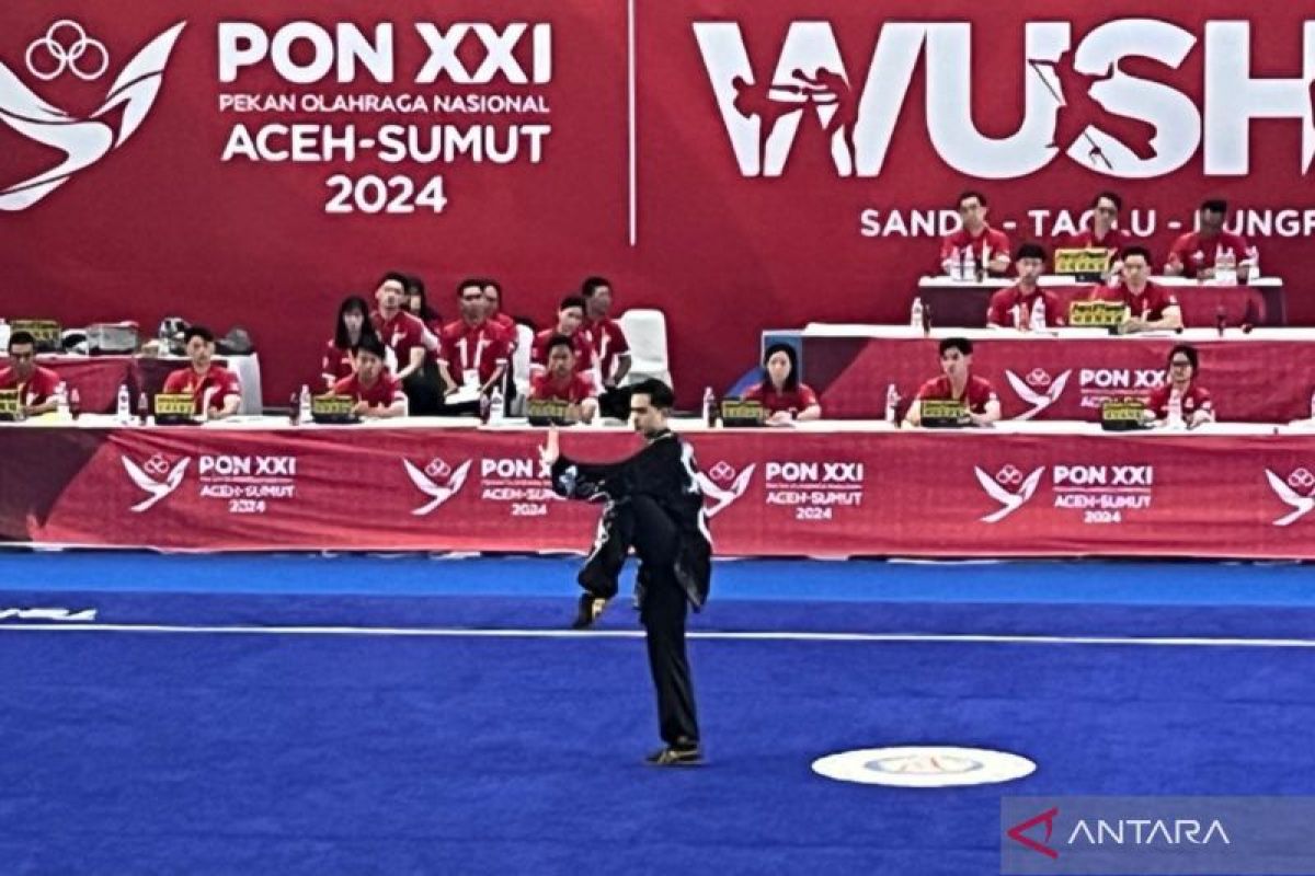 Nicholas raih medali emas perdana untuk Sumut cabor wushu PON XXI