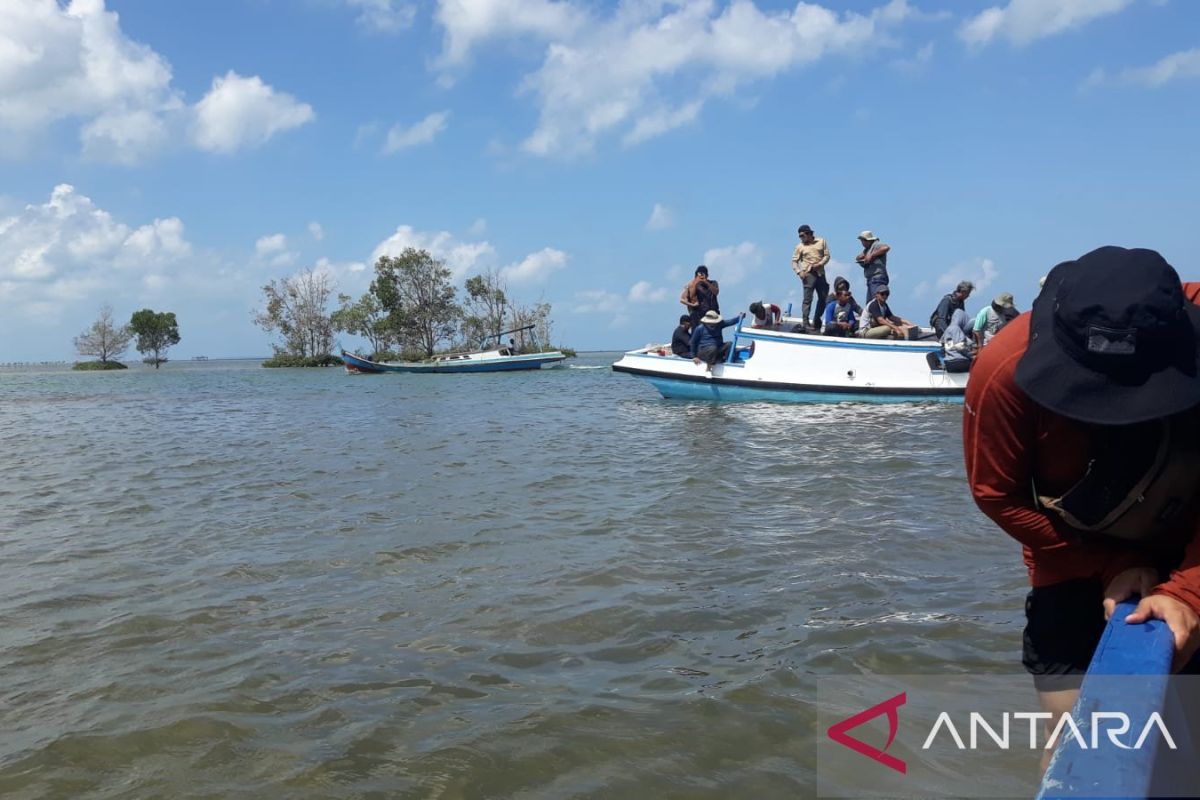 Tim DJN Wanadri tanam 10.000 bibit mangrove di Belitung