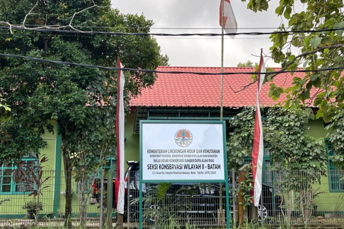 BKSDA sosialisasikan cara hidup berdampingan dengan buaya