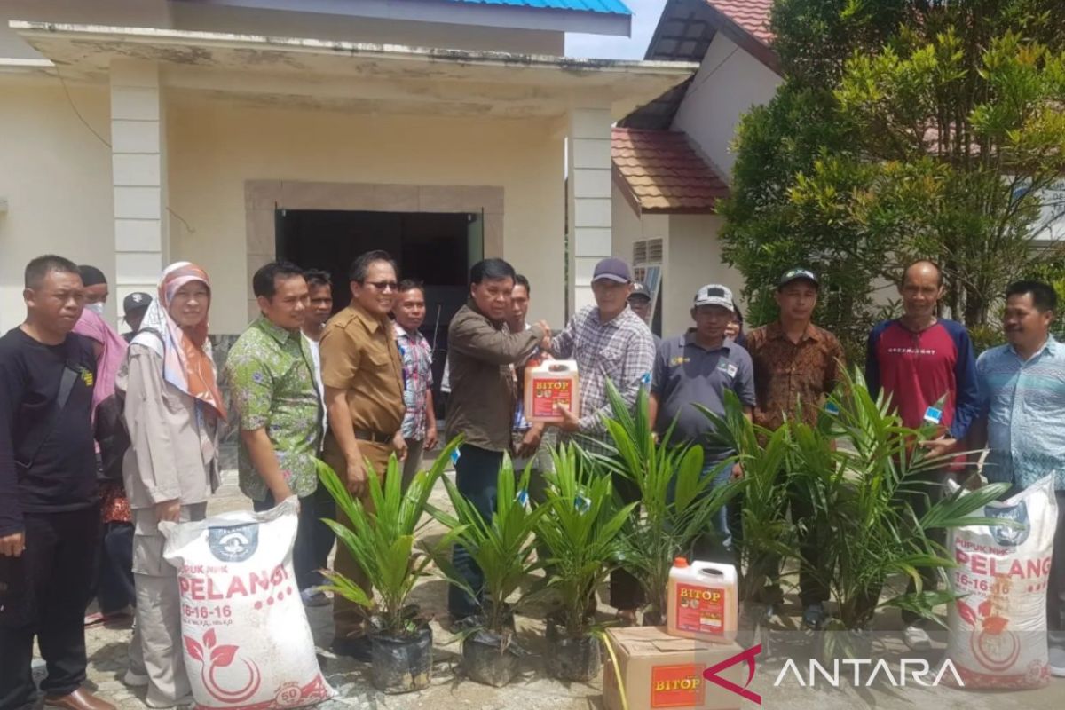 Disbun Kaltim bantu pupuk dan bibit sawit  kelompok tani PPU