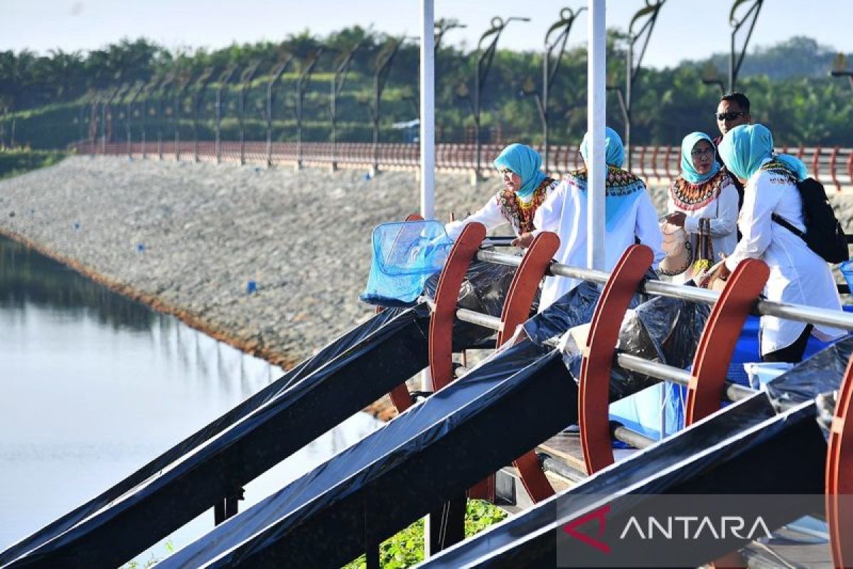 Iriana lepas benih ikan gabus saat kunjungi Bendungan Sepaku Semoi