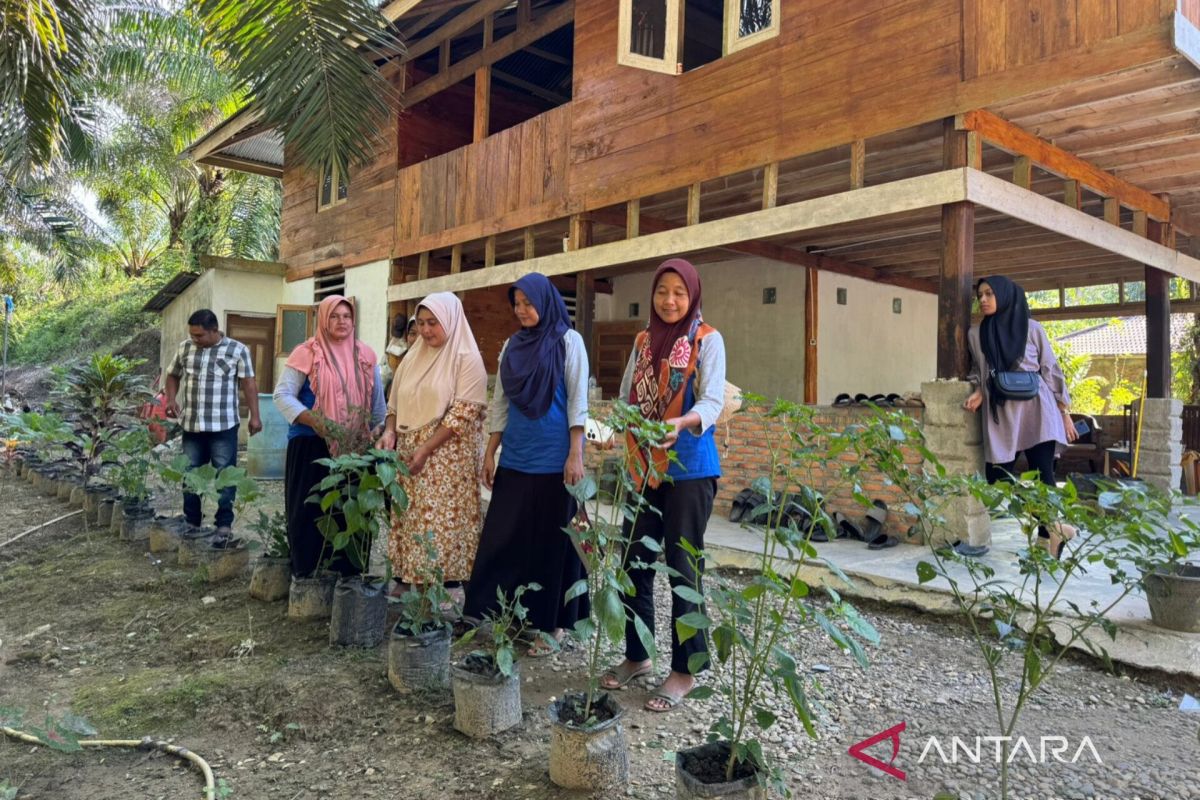 Cara Petani Aceh Timur Bertahan di Tengah Ancaman Perubahan Iklim