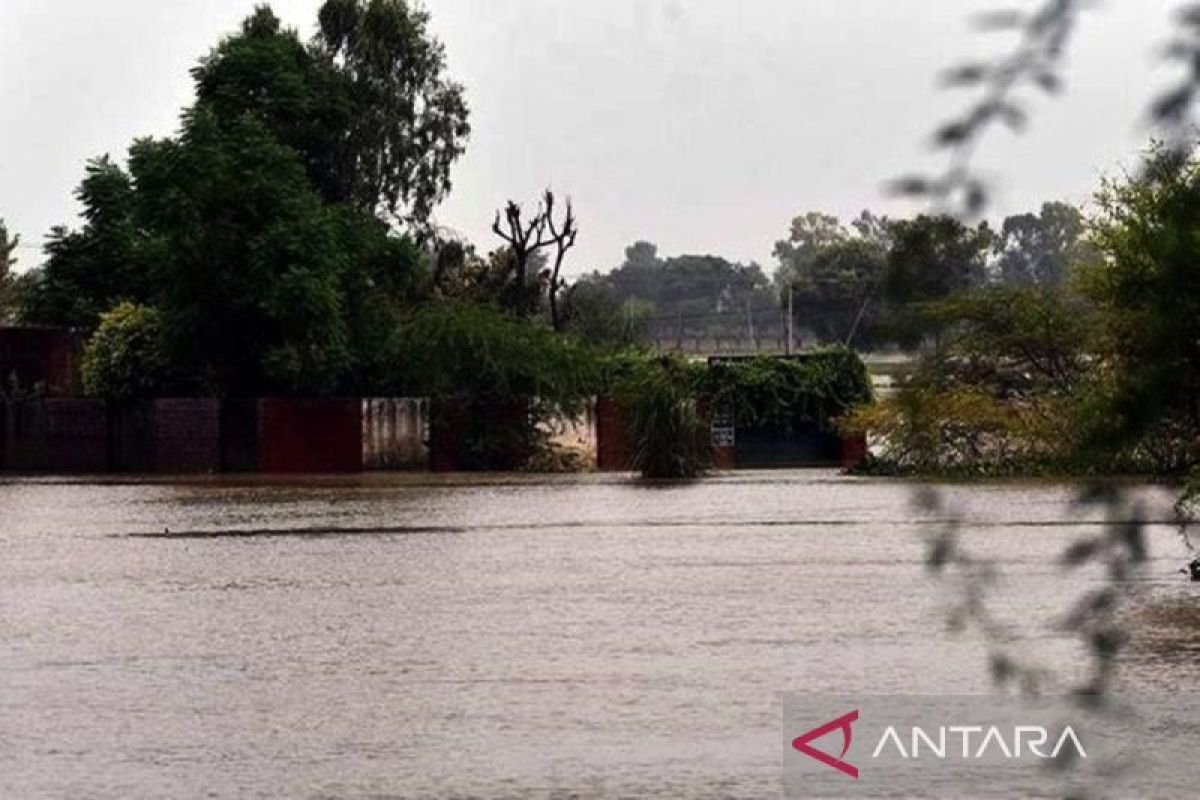 Satu juta warga kota di Nigeria terdampak banjir parah