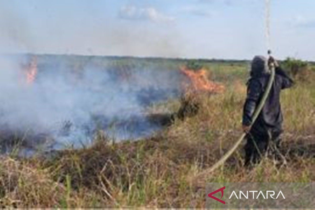 7 desa di Hulu Sungai Selatan terdampak karhutla