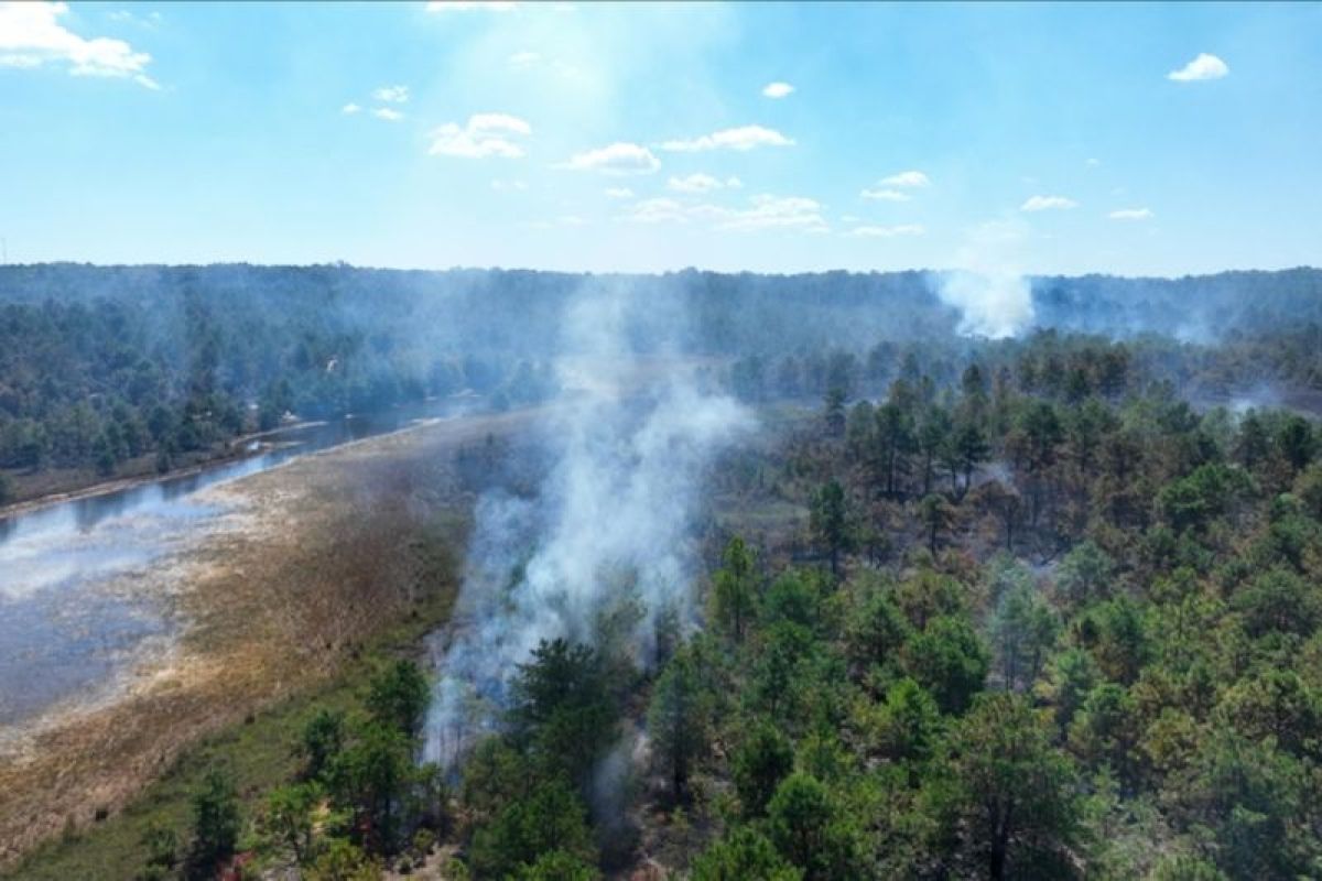 Kebakaran hanguskan 100 ribu hektare hutan di negara bagian California