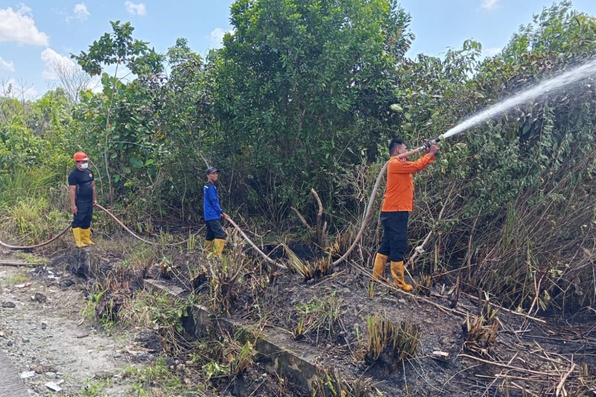 BPBD Penajam berhasil padamkam karhutla  di Gunung Seteleng