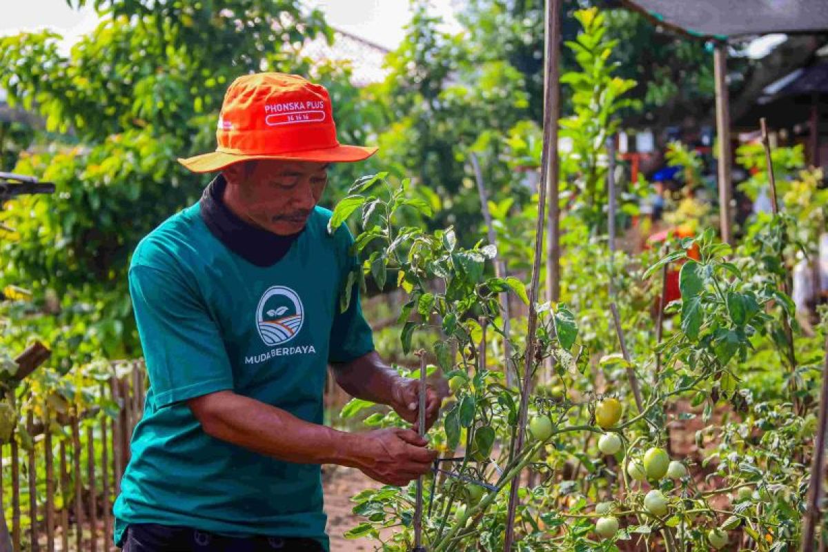 Pemprov DKI salurkan pupuk bagi petani di Jaksel demi ketahanan pangan