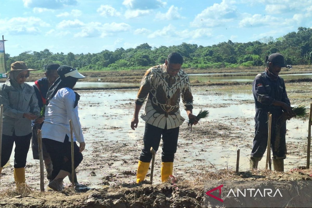 Wamentan di Balikpapan serap permasalahan petani sawah tadah hujan