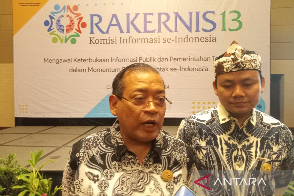 KPU, Bawaslu must ensure information access during local polls