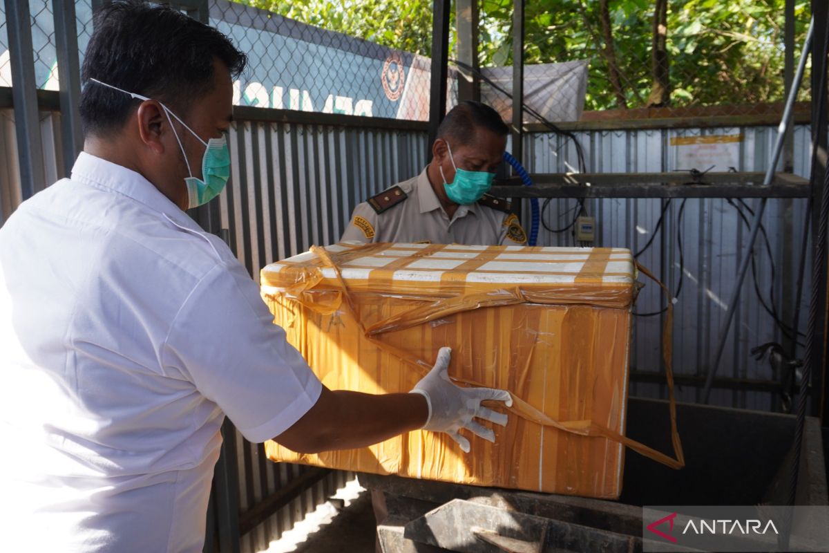 Karantina musnahkan lebih setengah ton daging babi tanpa sertifikat kesehatan