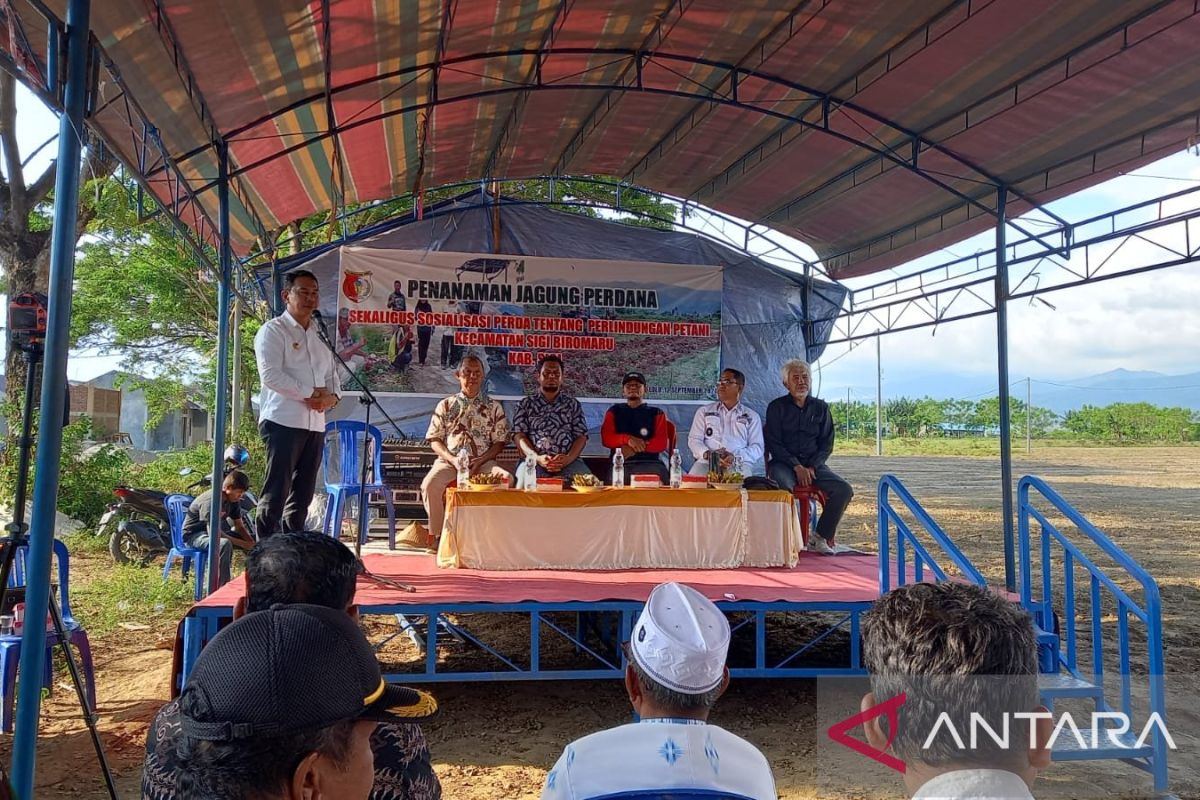 Sigi pastikan petani masuk DTKS guna dapat bantuan pemerintah