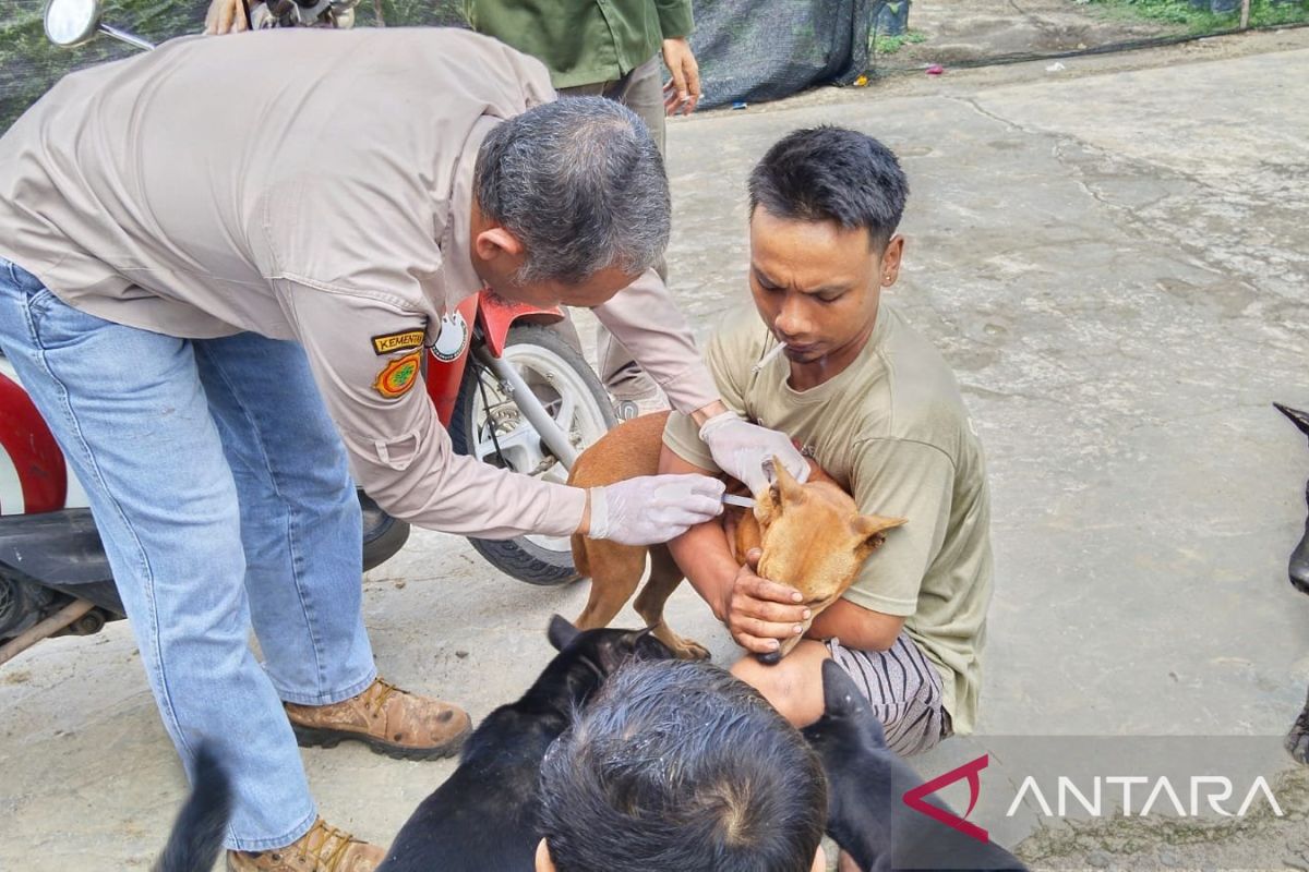 Dinas Kesehatan OKU tangani  76 kasus rabies