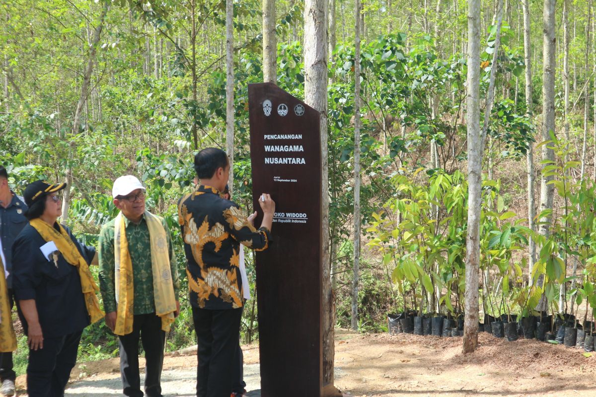 Presiden Jokowi canangkan hutan pendidikan Wanagama Nusantara di IKN