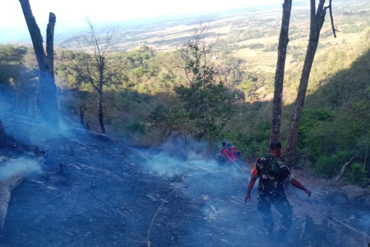 Kawasan hutan lindung di Lombok Tengah hangus terbakar