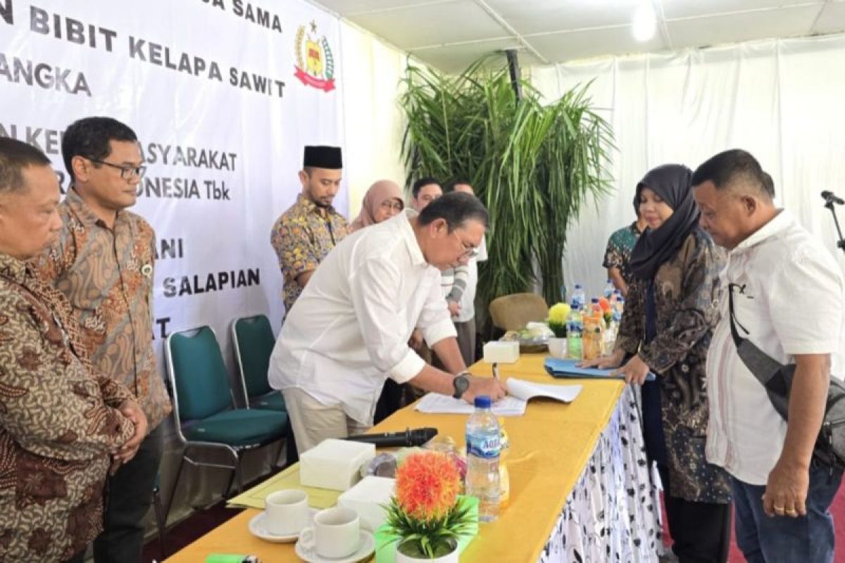 Lonsum beri bantuan bibit kelapa sawit untuk petani 11 desa di Langkat