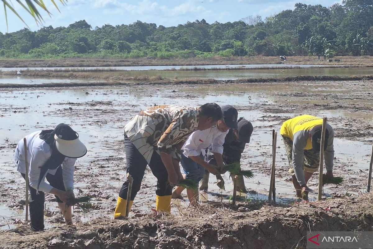 Balikpapan farmers face challenges: ministry steps in