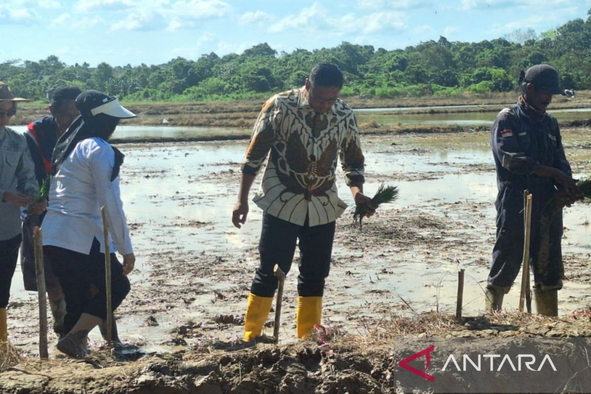 Wamentan usul Pupuk Indonesia dan Bulog di bawah Kementan