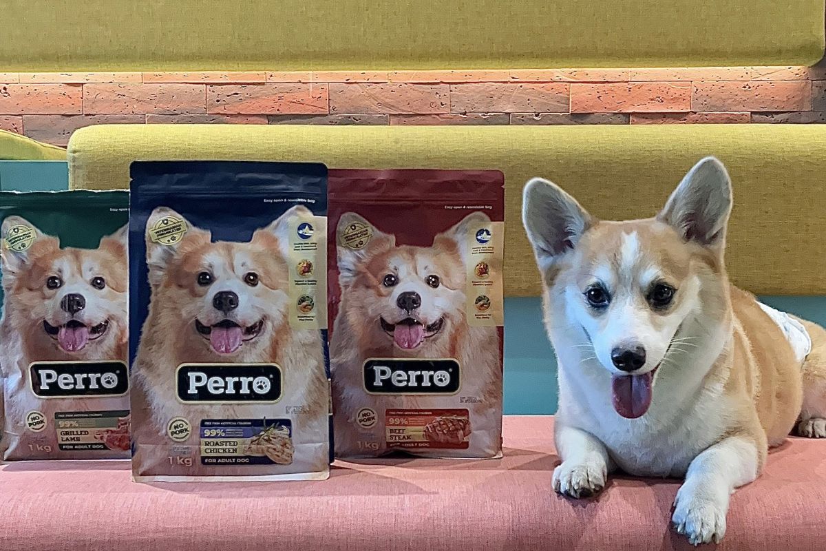 Kino Indonesia luncurkan produk makanan anjing Perro