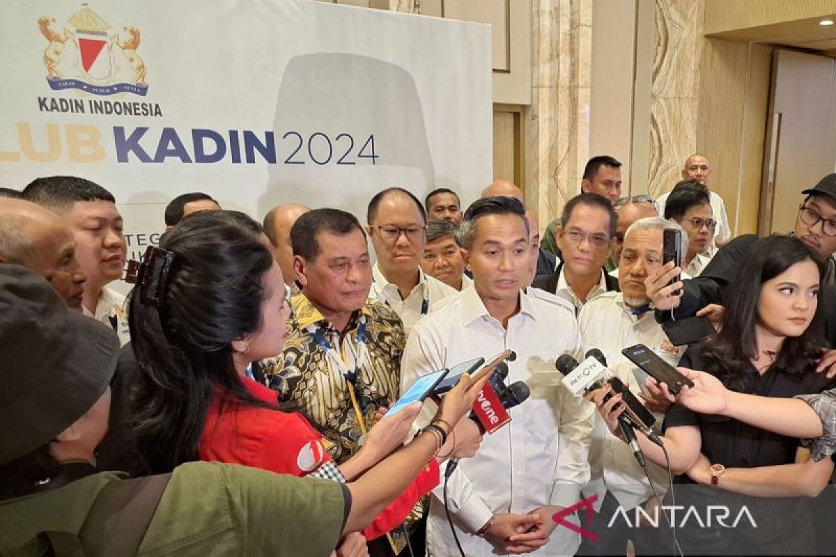 Anindya: Kadin ingin bekerja sama lebih baik dengan pemerintah