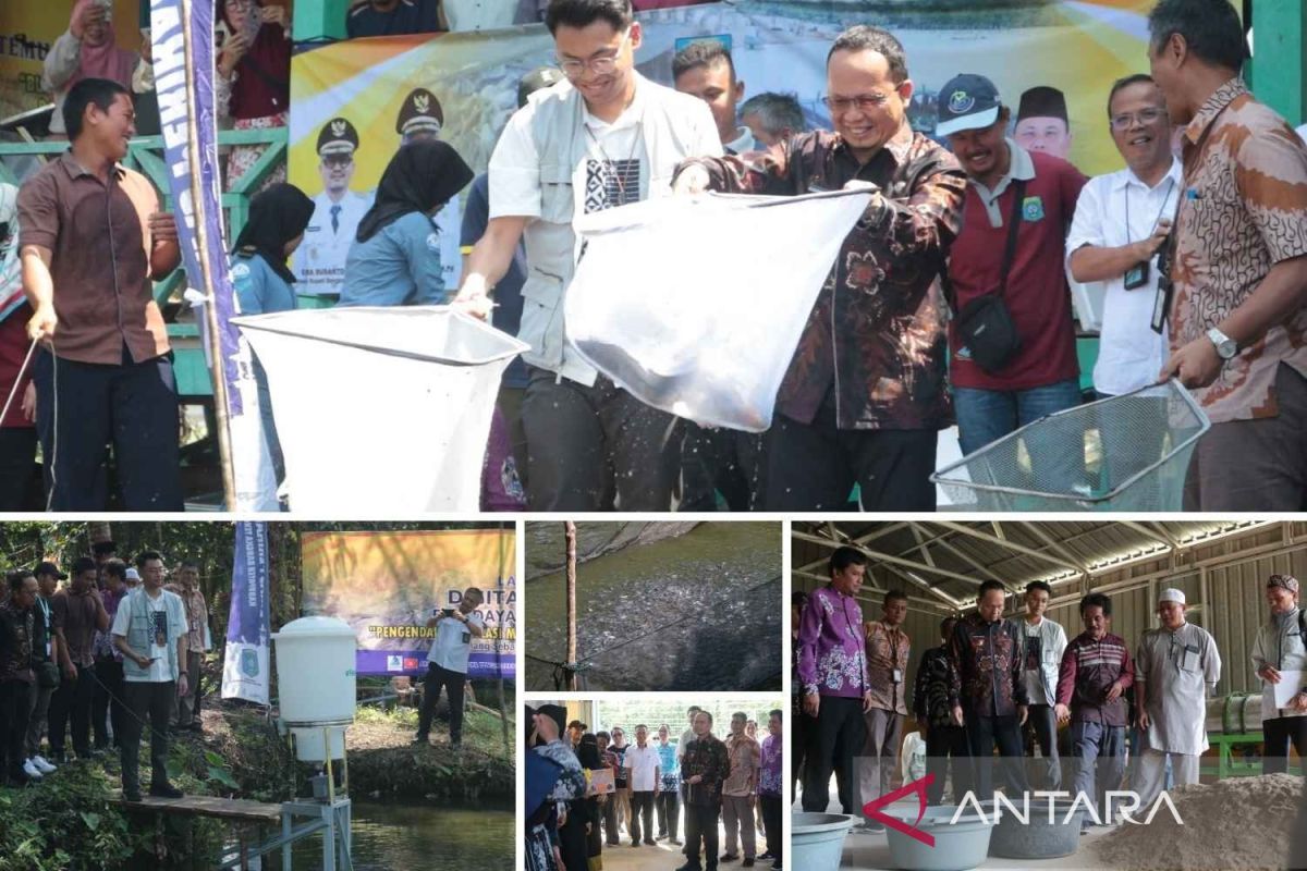 Bangka Tengah salurkan bantuan sarana budidaya perikanan