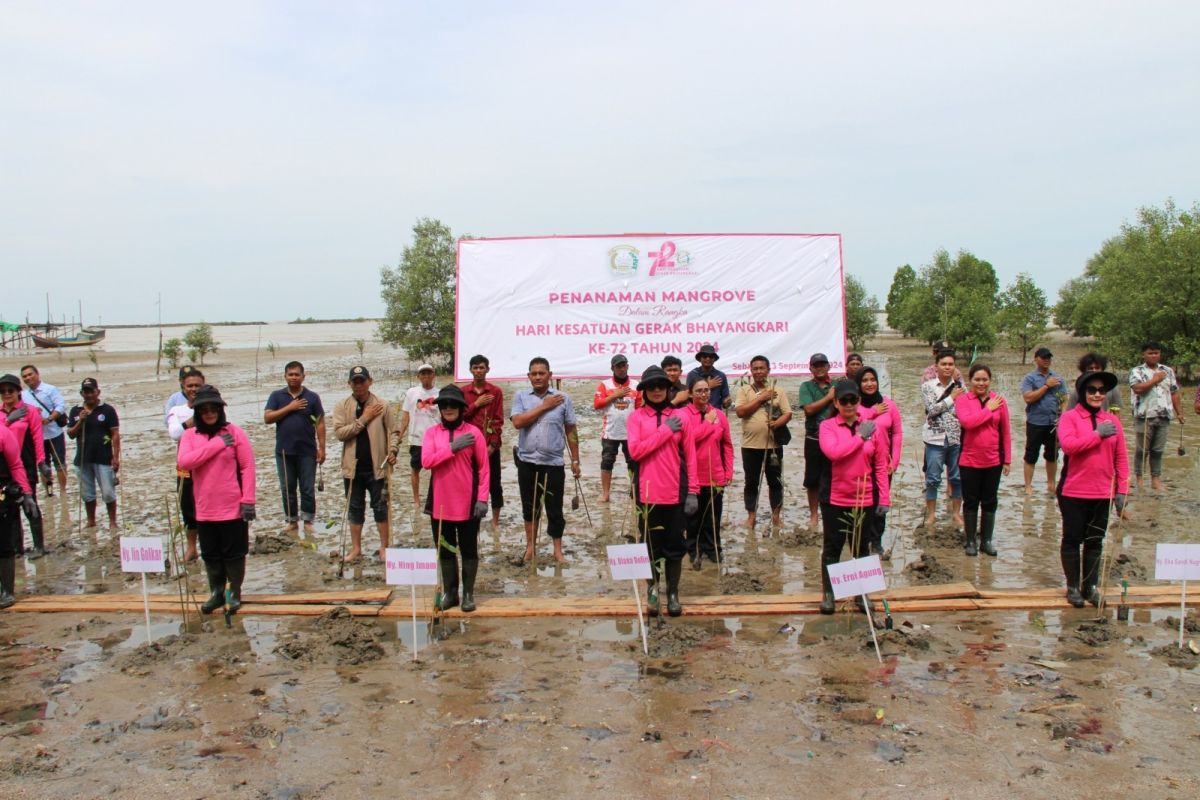 Bhayangkari Polri menanam 1.000 pohon mangrove di perbatasan